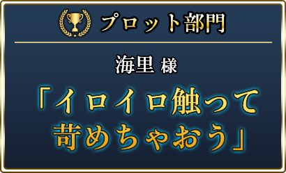 プロット部門 海里様 「イロイロ触って苛めちゃおう」