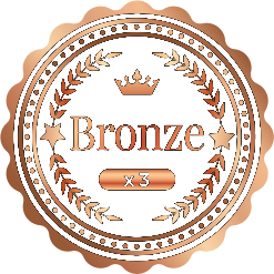 awards bronze